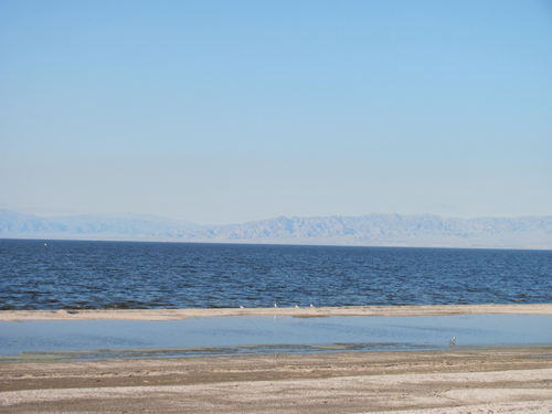 Salton Sea Area - 2015-2020 Photos